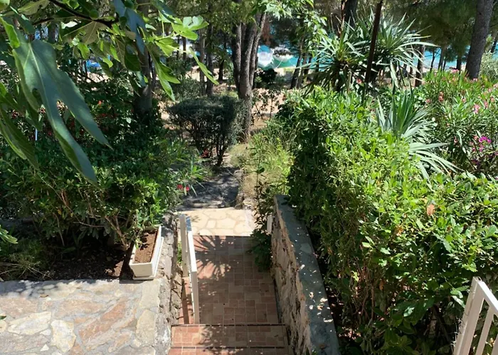 Mimi - Prvi Red Do Mora * Drage