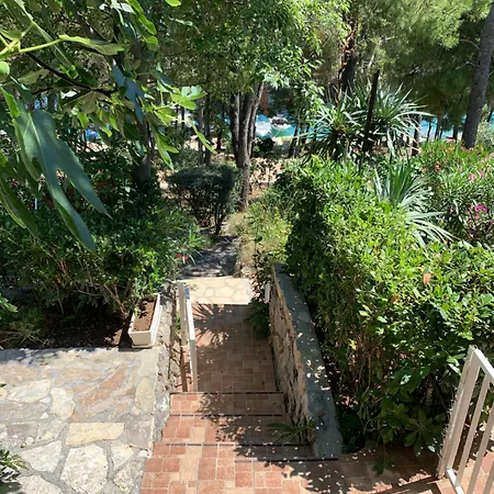 Mimi - Prvi Red Do Mora * Drage